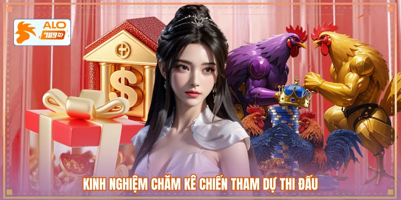 Kinh nghiệm chăm kê chiến tham dự thi đấu