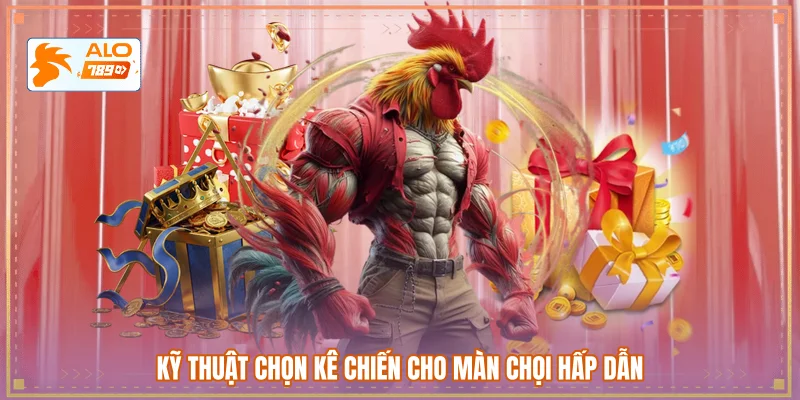 Kỹ thuật chọn kê chiến cho màn chọi hấp dẫn